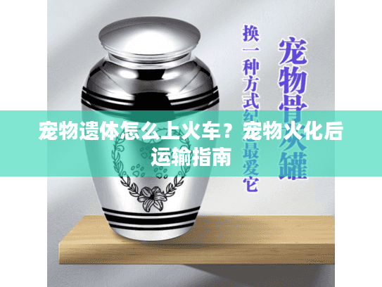 宠物遗体怎么上火车？宠物火化后运输指南