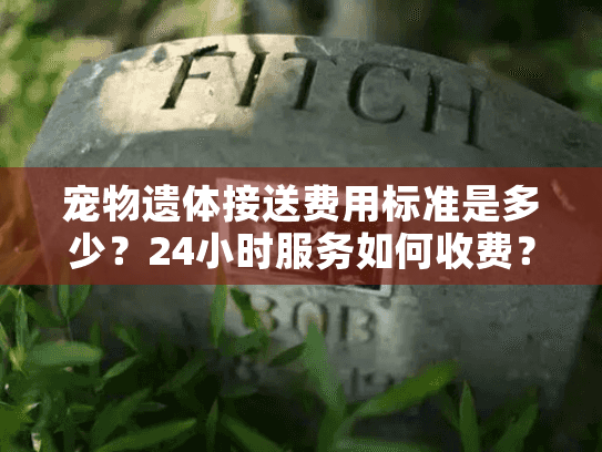 宠物遗体接送费用标准是多少？24小时服务如何收费？