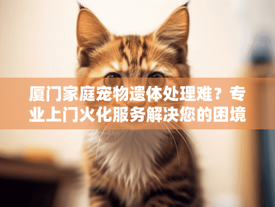 厦门家庭宠物遗体处理难？专业上门火化服务解决您的困境