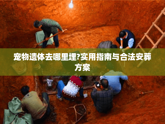 宠物遗体去哪里埋?实用指南与合法安葬方案