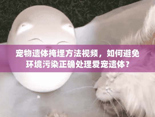 宠物遗体掩埋方法视频，如何避免环境污染正确处理爱宠遗体？