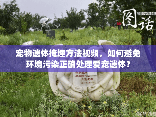 宠物遗体掩埋方法视频，如何避免环境污染正确处理爱宠遗体？