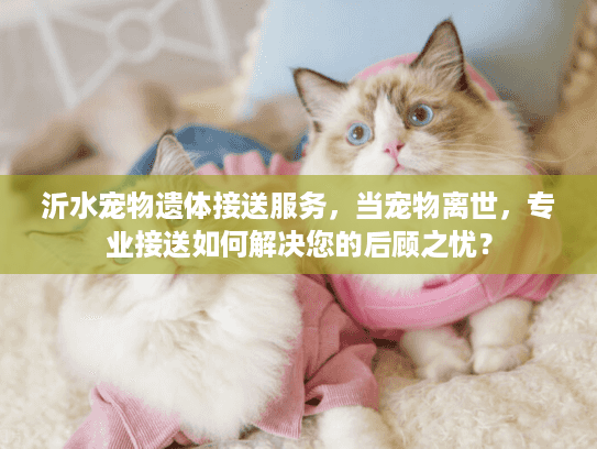 沂水宠物遗体接送服务，当宠物离世，专业接送如何解决您的后顾之忧？