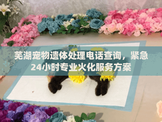 芜湖宠物遗体处理电话查询，紧急24小时专业火化服务方案