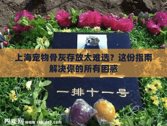 上海宠物骨灰存放太难选？这份指南解决你的所有困惑