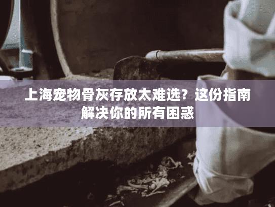 上海宠物骨灰存放太难选？这份指南解决你的所有困惑