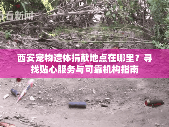 西安宠物遗体捐献地点在哪里？寻找贴心服务与可靠机构指南