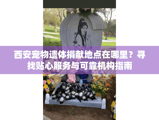 西安宠物遗体捐献地点在哪里？寻找贴心服务与可靠机构指南