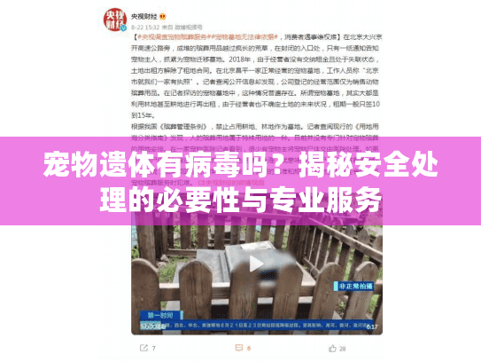 宠物遗体有病毒吗？揭秘安全处理的必要性与专业服务