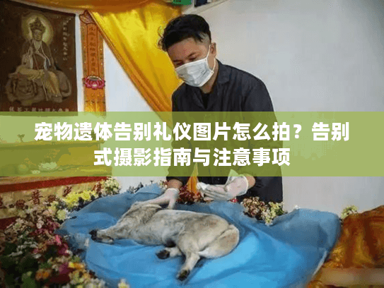宠物遗体告别礼仪图片怎么拍？告别式摄影指南与注意事项