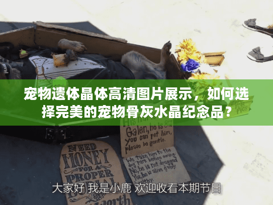 宠物遗体晶体高清图片展示，如何选择完美的宠物骨灰水晶纪念品？