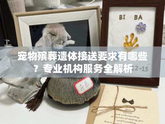 宠物殡葬遗体接送要求有哪些？专业机构服务全解析