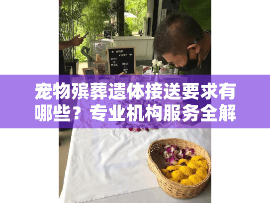 宠物殡葬遗体接送要求有哪些？专业机构服务全解析