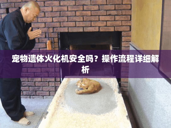 宠物遗体火化机安全吗?操作流程详细解析 宠物遗体火化机安全吗?操作流程详细解析