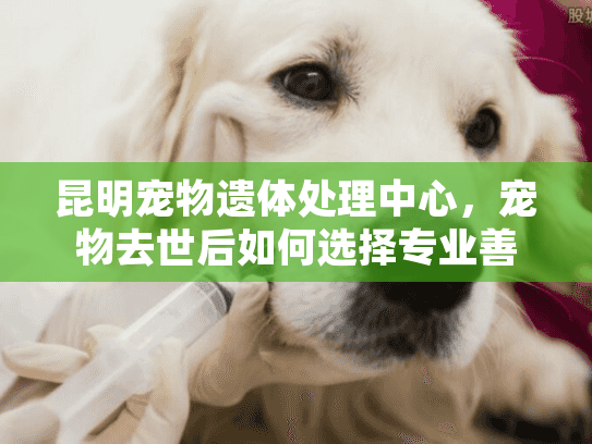 昆明宠物遗体处理中心，宠物去世后如何选择专业善终服务？