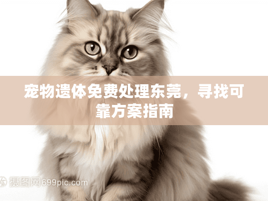 宠物遗体免费处理东莞，寻找可靠方案指南