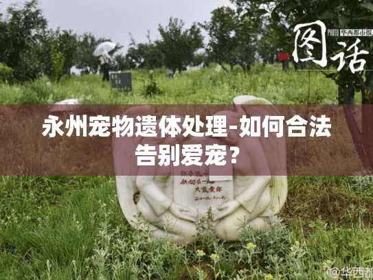 永州宠物遗体处理-如何合法告别爱宠？