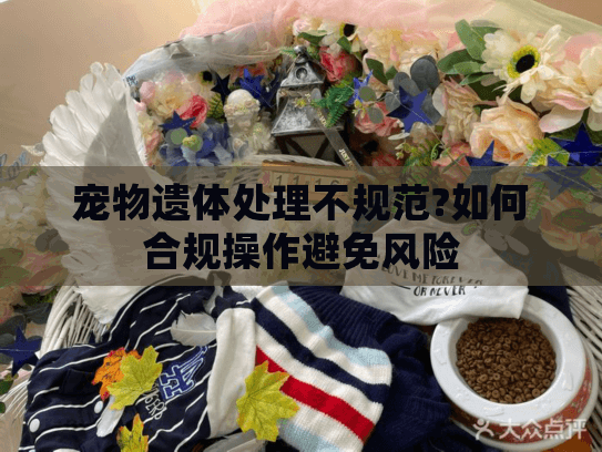 宠物遗体处理不规范?如何合规操作避免风险