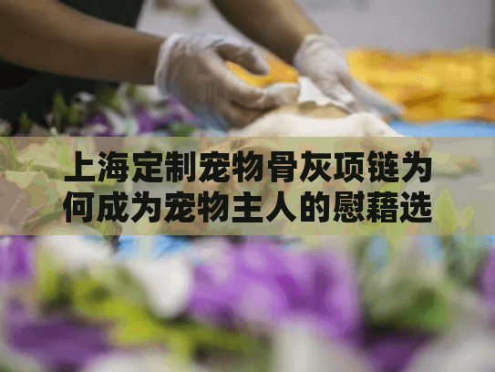 上海定制宠物骨灰项链为何成为宠物主人的慰藉选择? 上海定制宠物骨灰项链为何成为宠物主人的慰藉选择?