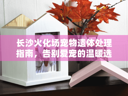 长沙火化场宠物遗体处理指南,告别爱宠的温暖选择 长沙火化场宠物遗体处理指南,告别爱宠的温暖选择