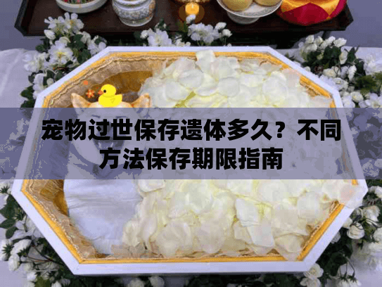 宠物过世保存遗体多久？不同方法保存期限指南