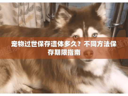 宠物过世保存遗体多久？不同方法保存期限指南