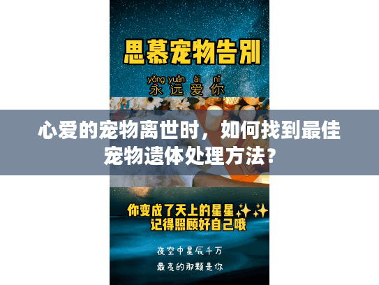 心爱的宠物离世时，如何找到最佳宠物遗体处理方法？