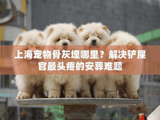 上海宠物骨灰埋哪里？解决铲屎官最头疼的安葬难题
