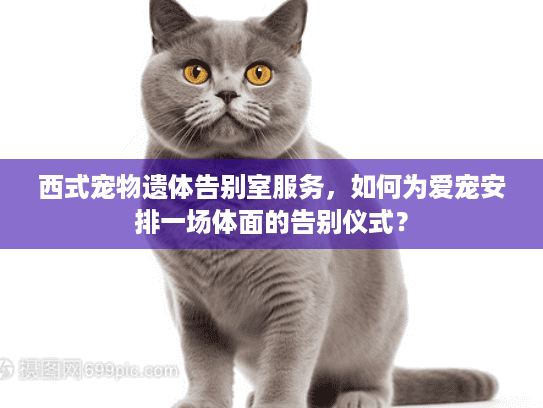 西式宠物遗体告别室服务，如何为爱宠安排一场体面的告别仪式？