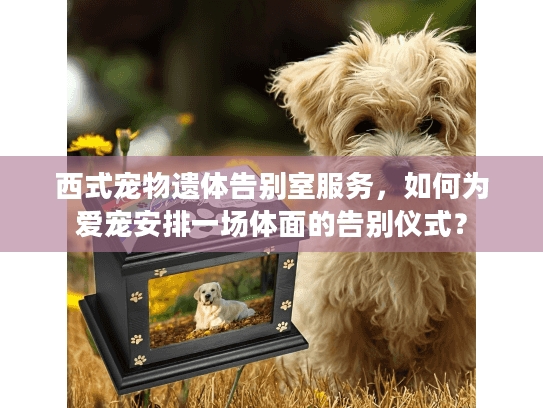 西式宠物遗体告别室服务，如何为爱宠安排一场体面的告别仪式？
