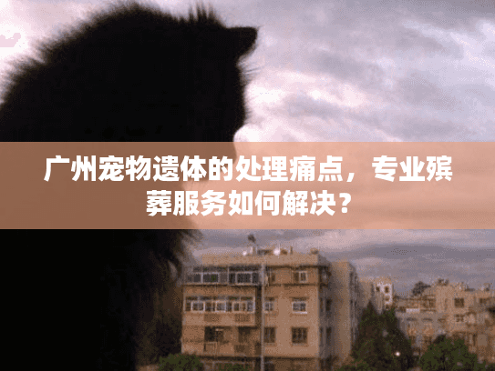 广州宠物遗体的处理痛点，专业殡葬服务如何解决？