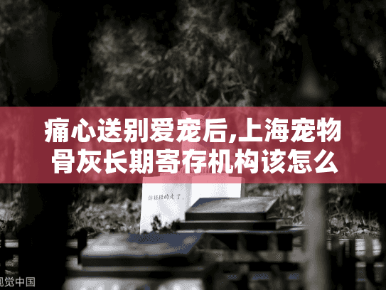 痛心送别爱宠后,上海宠物骨灰长期寄存机构该怎么选?