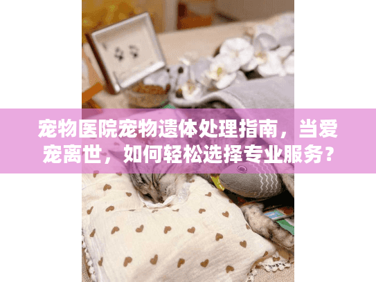 宠物医院宠物遗体处理指南，当爱宠离世，如何轻松选择专业服务？