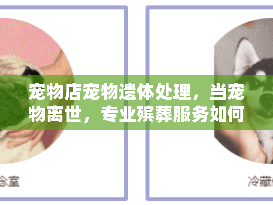 宠物店宠物遗体处理，当宠物离世，专业殡葬服务如何帮您告别痛苦？
