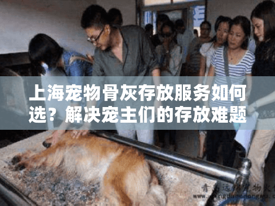 上海宠物骨灰存放服务如何选？解决宠主们的存放难题