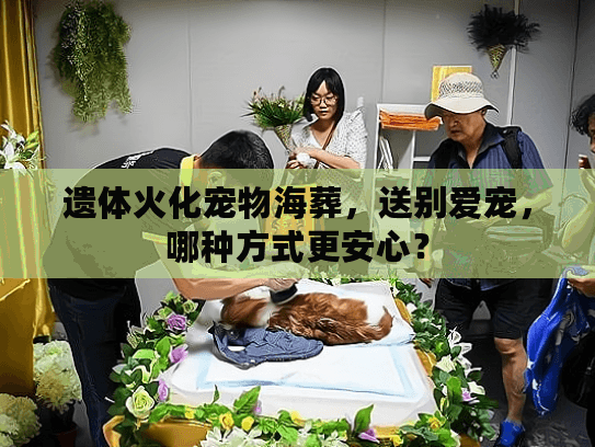 遗体火化宠物海葬，送别爱宠，哪种方式更安心？