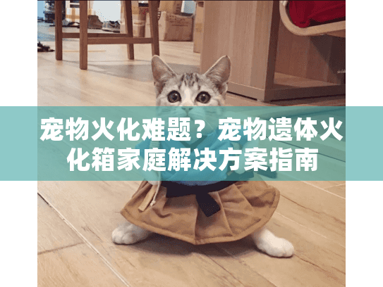宠物火化难题？宠物遗体火化箱家庭解决方案指南