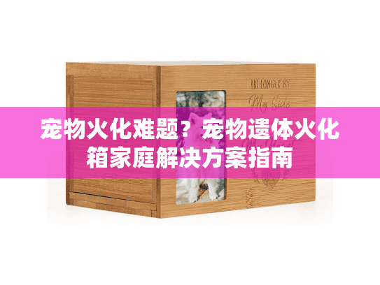 宠物火化难题？宠物遗体火化箱家庭解决方案指南