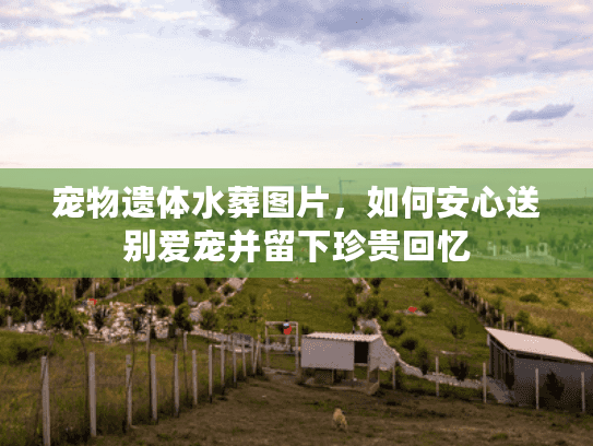 宠物遗体水葬图片，如何安心送别爱宠并留下珍贵回忆