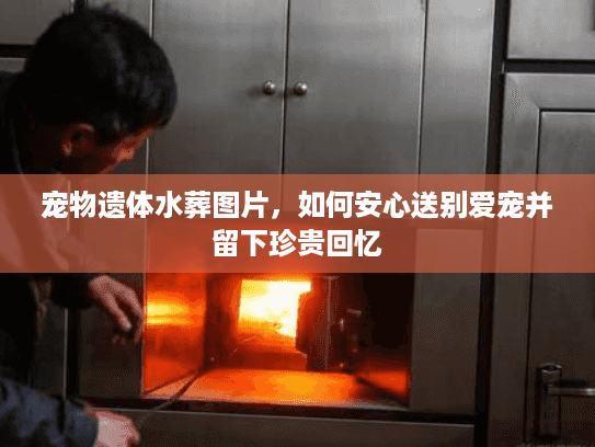 宠物遗体水葬图片，如何安心送别爱宠并留下珍贵回忆