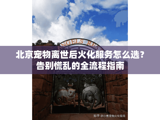北京宠物离世后火化服务怎么选？告别慌乱的全流程指南