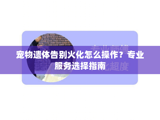 宠物遗体告别火化怎么操作？专业服务选择指南