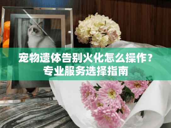 宠物遗体告别火化怎么操作？专业服务选择指南