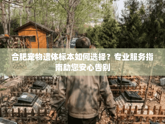 合肥宠物遗体标本如何选择？专业服务指南助您安心告别