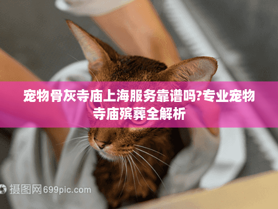 宠物骨灰寺庙上海服务靠谱吗?专业宠物寺庙殡葬全解析