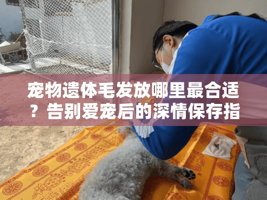 宠物遗体毛发放哪里最合适？告别爱宠后的深情保存指南