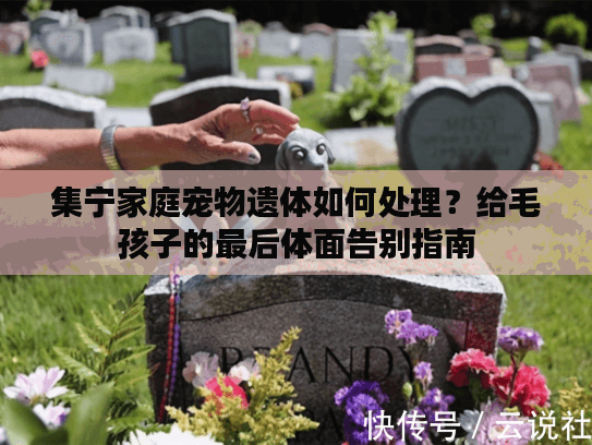 集宁家庭宠物遗体如何处理？给毛孩子的最后体面告别指南