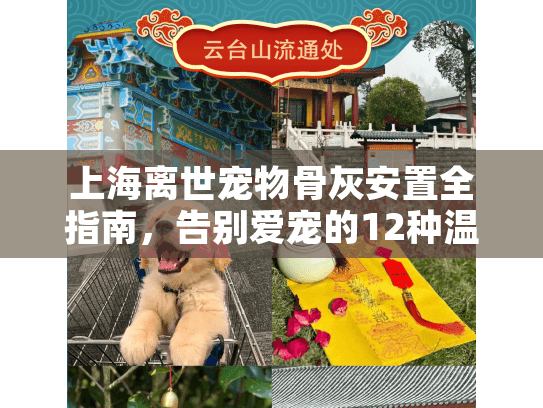 上海离世宠物骨灰安置全指南，告别爱宠的12种温暖选择