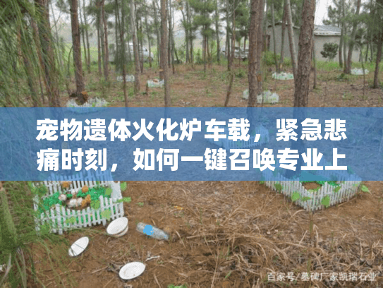 宠物遗体火化炉车载，紧急悲痛时刻，如何一键召唤专业上门服务？