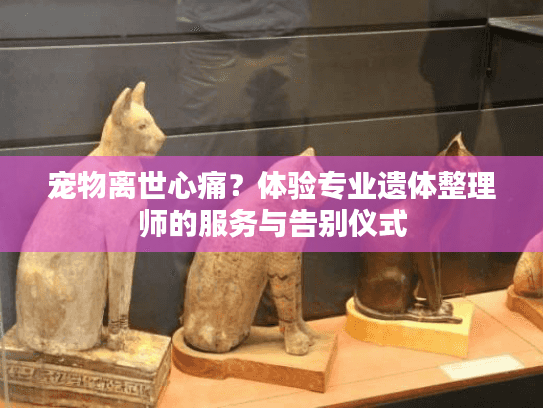 宠物离世心痛？体验专业遗体整理师的服务与告别仪式